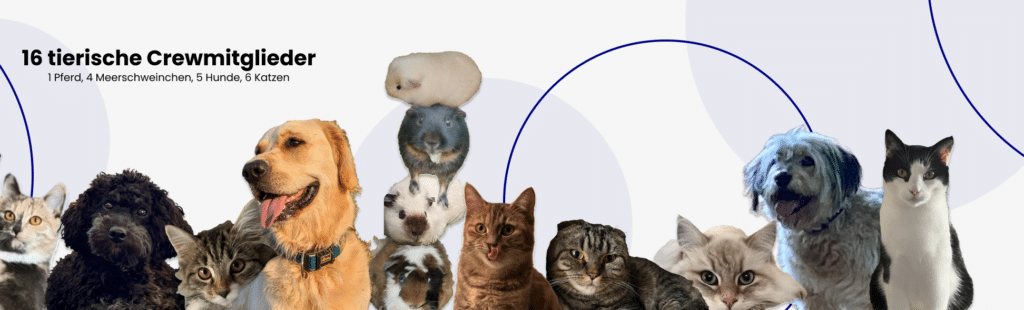 Inside iS2: Unser Team, unsere Arbeit & Kultur | iS2 AG